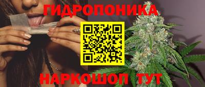 МДПВ Краснознаменск