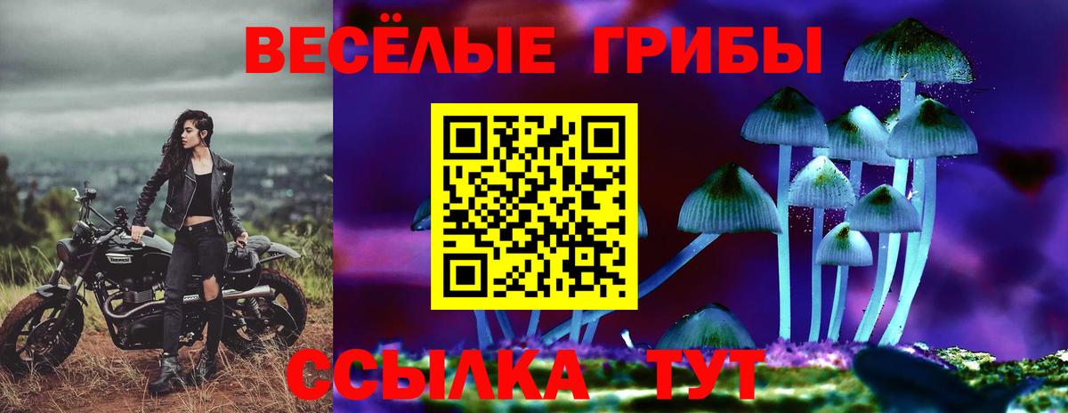 Галлюциногенные грибы MAGIC MUSHROOMS  Вход с VPN  Карачаевск 